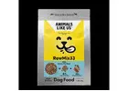 Pet Store in Sydney for Quality Food and Everyday Pet Essentials