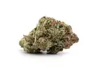 OG Shark Strain: Explore the Aroma and Character of This Indica Cannabis Variety