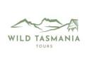 Small Group Wildlife Tours Tasmania: Explore Nature Up Close