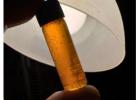 Buy Honey Oil Online in Canada