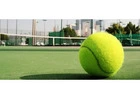 Affordable Cricket Turf Manufacturer – Quality You Can Trust