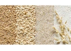 Oat Flakes Exporter