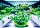 Horticulture Software
