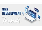 Web Development India