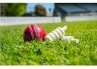 Get Your Trusted Online Cricket ID & Online Betting ID – Only on Amiribook!