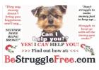 Unlimited $60 Commissions and $15 Residual payments