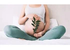 Fertility Therapy in Ontario | Emotional Support for Your Journey