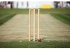 Top-Quality Cricket Turf Manufacturer – Order Online Today