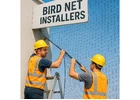 Find Trusted Bird Net Installers Near You