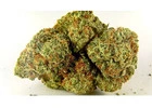 Looking for the Best Sativa Marijuana Strains?