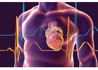 Reliable Heart Doctor in Faridabad – Dr. Sanjay Kumar