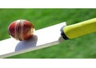 Get Your Online Cricket ID Instantly – Onlinecricketid99