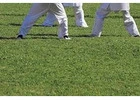 Top Cricket Turf Manufacturer – Get Custom Solutions Today