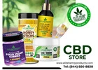 Discover Balance and Bliss at a Trusted CBD Store