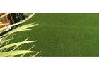 Looking for Garden Pebbles at Budget-Friendly Prices?