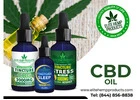 Embrace Natural Wellness and Everyday Calm with CBD Oil