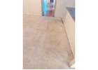 Get fast-tracked services and zero chemical use with Carpet Dry Cleaning Adelaide