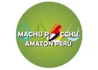 Rainforest Immersion Trek in Manu