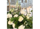 Find fully customized event décor solutions from leading Party Planner in Decatur