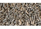 Keep Livestock Healthy With Rapeseed Meal for Animal Feed