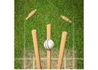Best Cricket Turf Manufacturer – Order Now