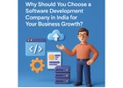 Why Should You Choose a Software Development Company in India for Your Business Growth?
