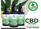 Less Stress, More Yes with CBD Tincture