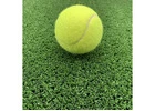 Buy Premium Cricket Turf | Trusted Manufacturer in India