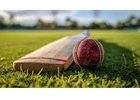 OSMSturf Box Cricket Turf | Fast Install, Pro Quality