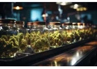 Cannabis Dispensary In North York