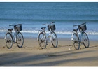 HubTiger – Smart Bike Rental Software for Modern Businesses