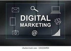 Professional SEO Course in Bathinda for 2025
