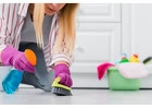 Professional Carpet Cleaning in Flower Mound, TX