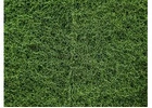 Affordable Turf Ground Making Cost – Build Your Dream Turf Now