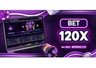 How to Choose the Best Online Betting Platform