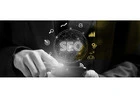 Professional SEO Agency in Abu Dhabi for Business Growth