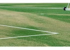 Upgrade Your Cricket Ground with OSMS Turf | Call Now