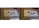 Say Goodbye to Stains with Dry Carpet Clean in Adelaide