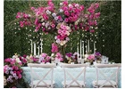 Cherish a once-in-a-lifetime bridal occasion with the best Wedding Planner in Conyers
