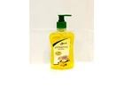 Buy Panchgavya Hand Wash Online: make hands germ free