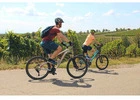 Electric Bikes For Rent