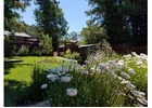 Backyard Designers Near