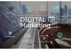 Best Seo Agency In Delhi  | IIS INDIA
