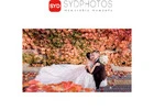 Professional Wedding Photography in Sydney: Capturing Your Special Moments