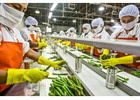 Industrial Food Industry