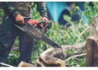 Expert Root Grinding in SW Washington