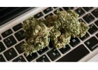 Buy Weed Online