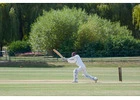 Complete coverage of the ICC T20 World Cup