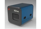 XDive Extraction-Free PCR Kit for Fast and Simple Testing