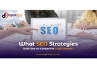 Grow Locally with DigitalBenz Local SEO Services